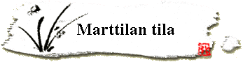 Marttilan tila